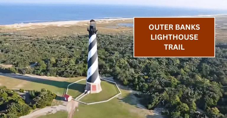 Outer Banks Lighthouse Trail: Four Climbs in Two Days with Cape Hatteras Tower Reopening and Wild Horses on Ocracoke Beaches