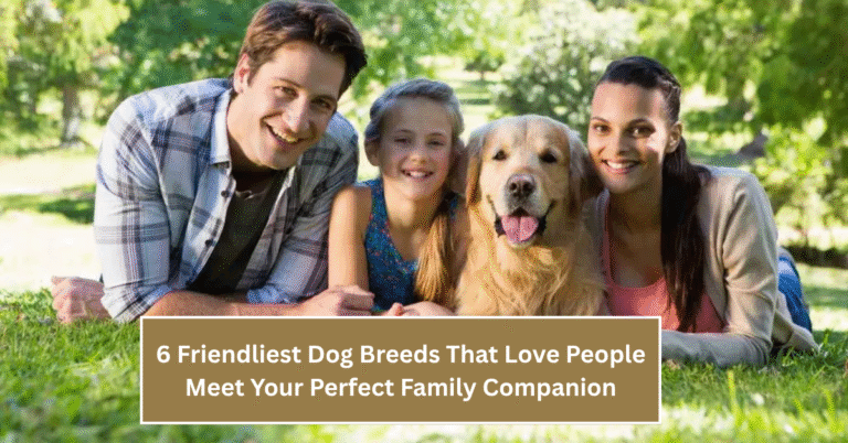 6 Friendliest Dog Breeds That Love People – Meet Your Perfect Family Companion